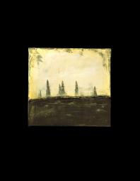 Jim Brown: untitled (found landscape series)