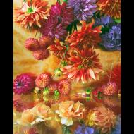 Randy Dana: Hanging Garden